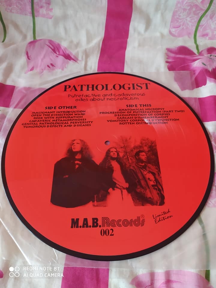 LP PATHALOGIST, INSANIA, POSLOUCHÁTE JIŽNÍ ČECHY, SUPERAPES - 3