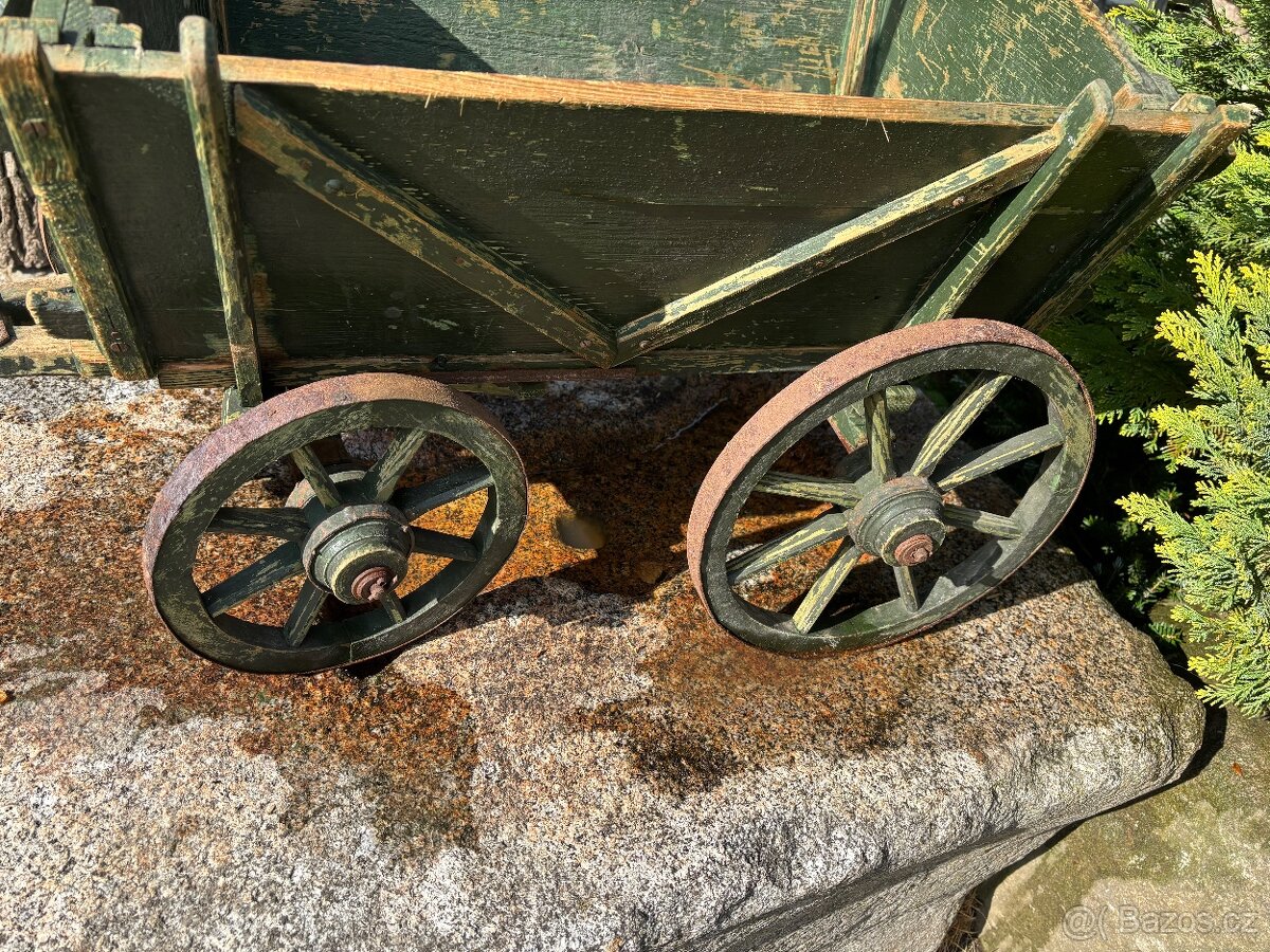 Žebřiňák bedňáček - 3