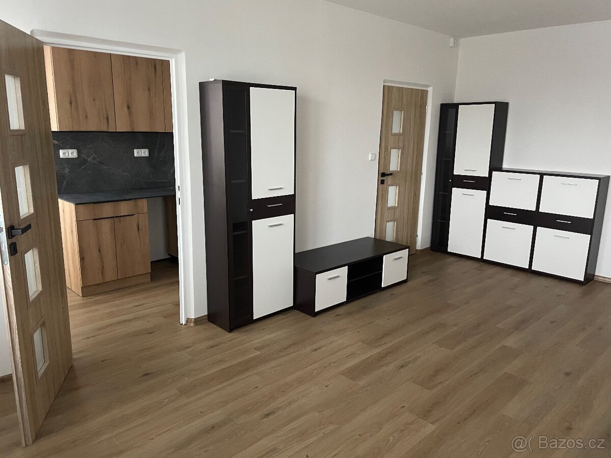 Dobrý den pronajmu byt 3+1 - 3
