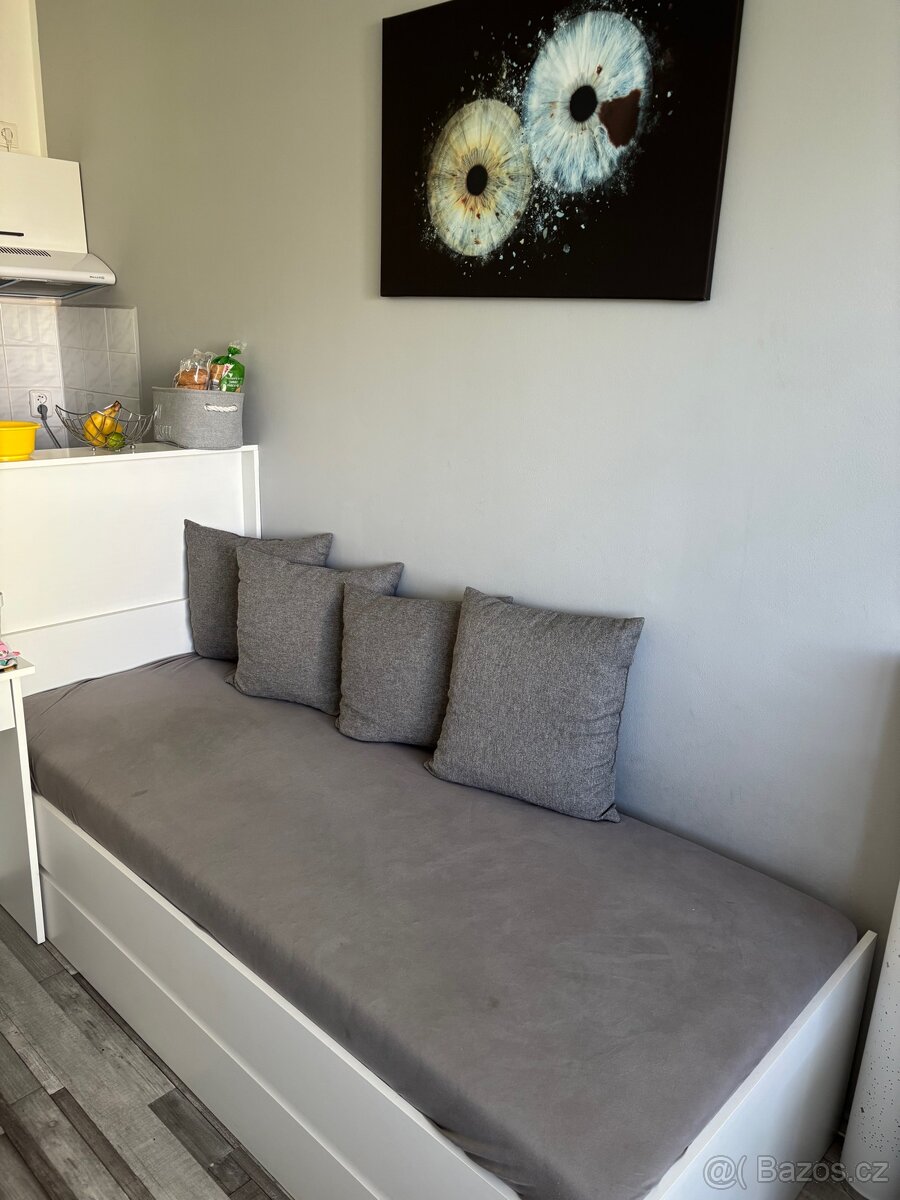 Byt 1+kk - pronájem - 3