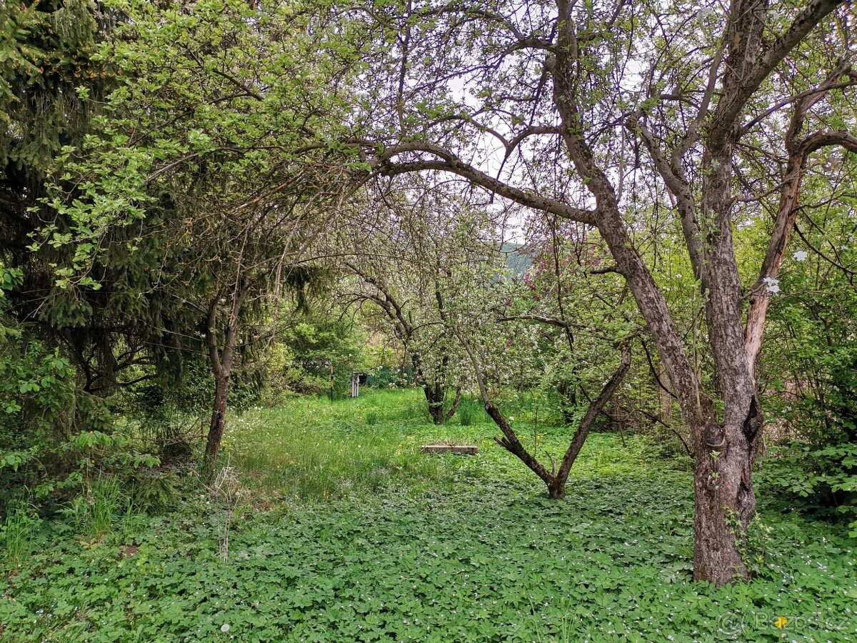 Prodej zahrady v Obřanech-Maloměřicích - 3