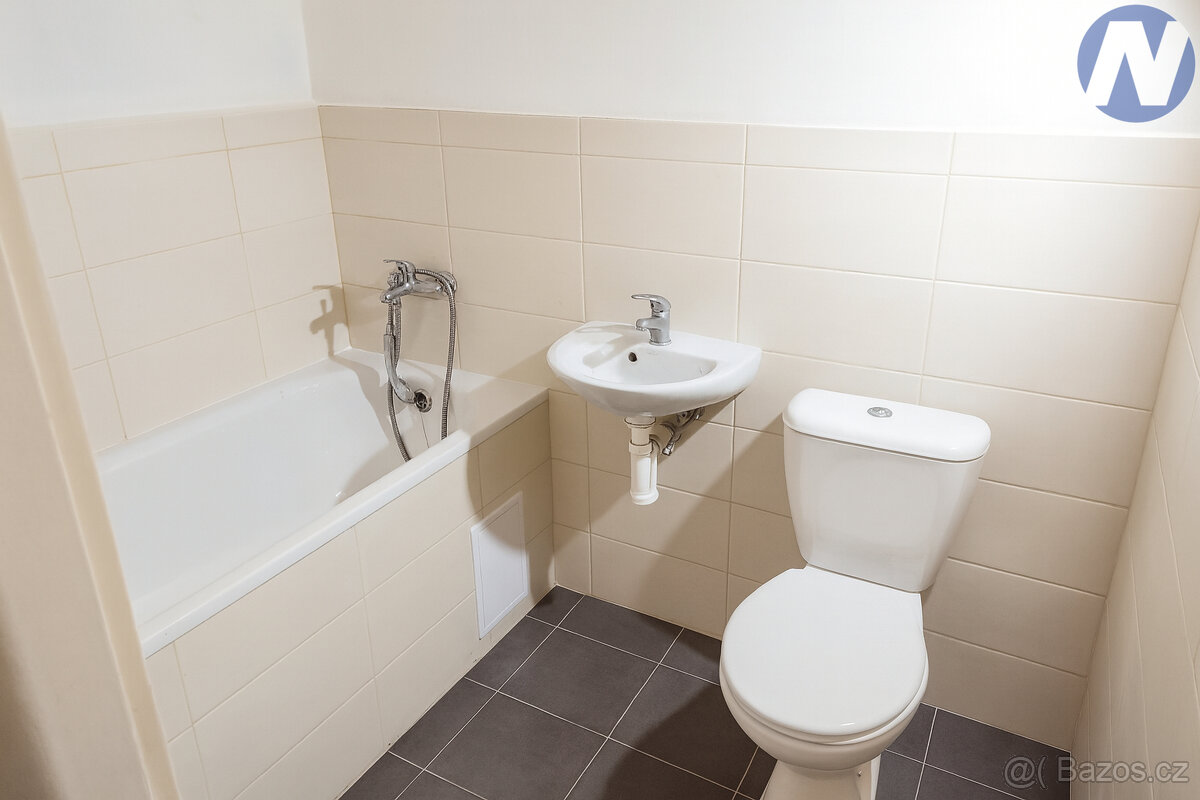 Pronájem bytu 1+1, 60 m2, Jeronýmova, Husinec - 3