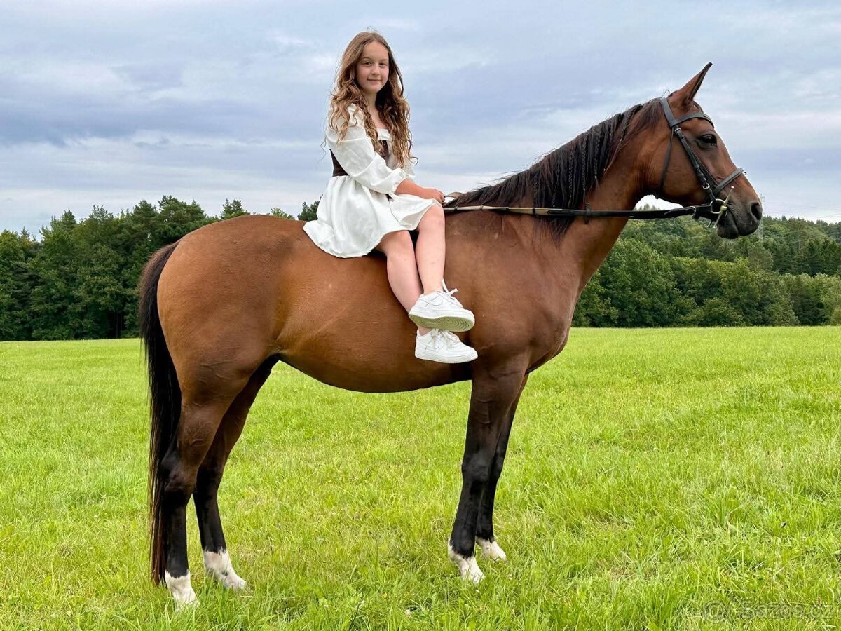 Dva koně pro začátečníky - 3