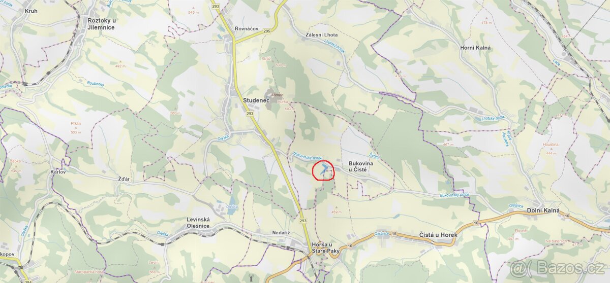Prodám lesní pozemek v k.ú. Bukovina u Čisté - 3