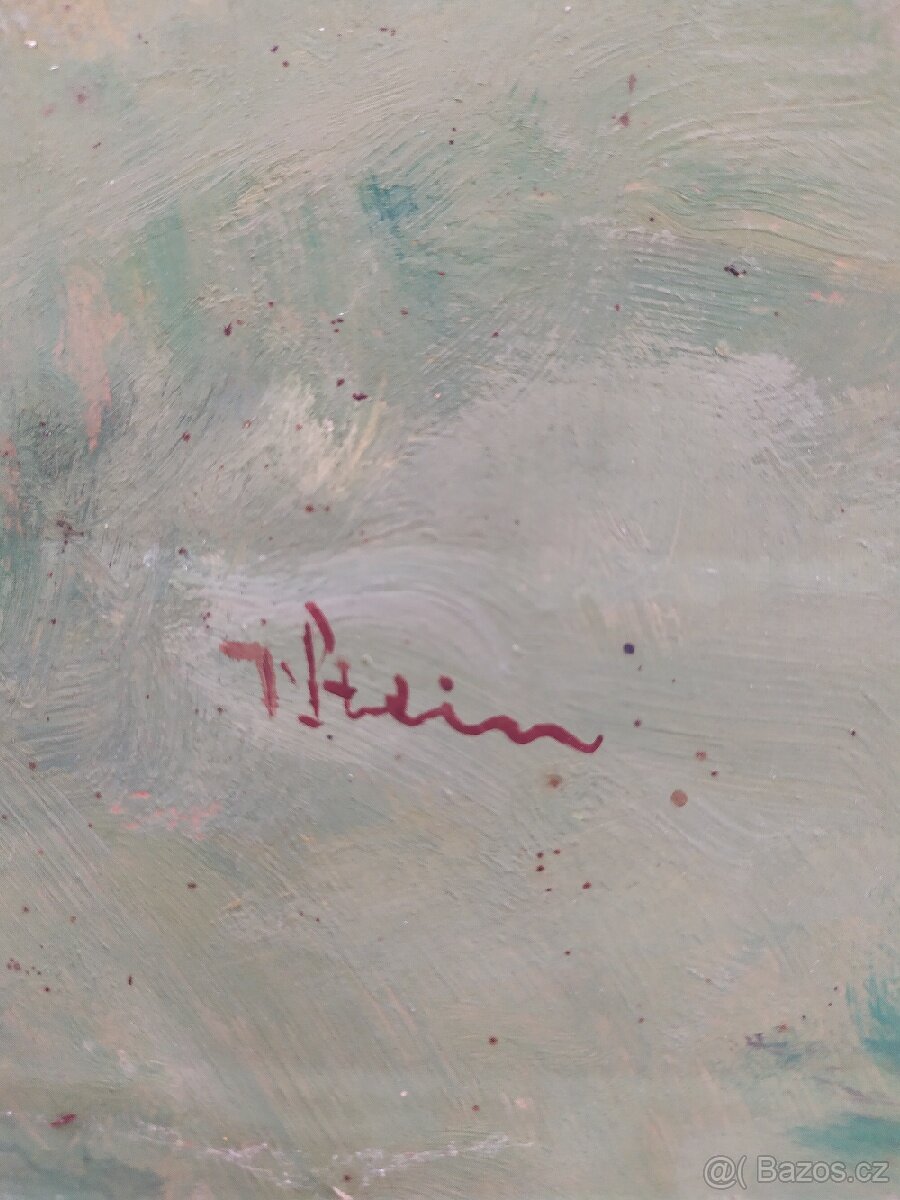 Obraz, Řeka s horami, V. Stein - 3