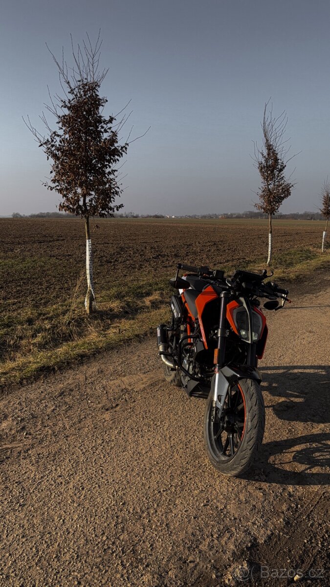 KTM duke 125 - 3