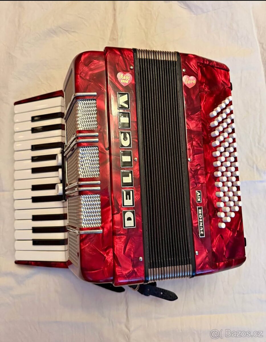 Akordeon Delicia Junior - 3