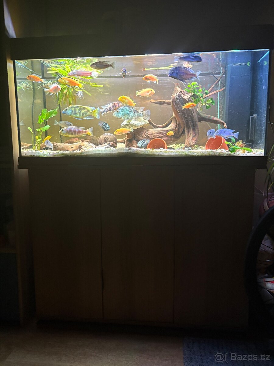 Akvárium juwel rio 180 - 3