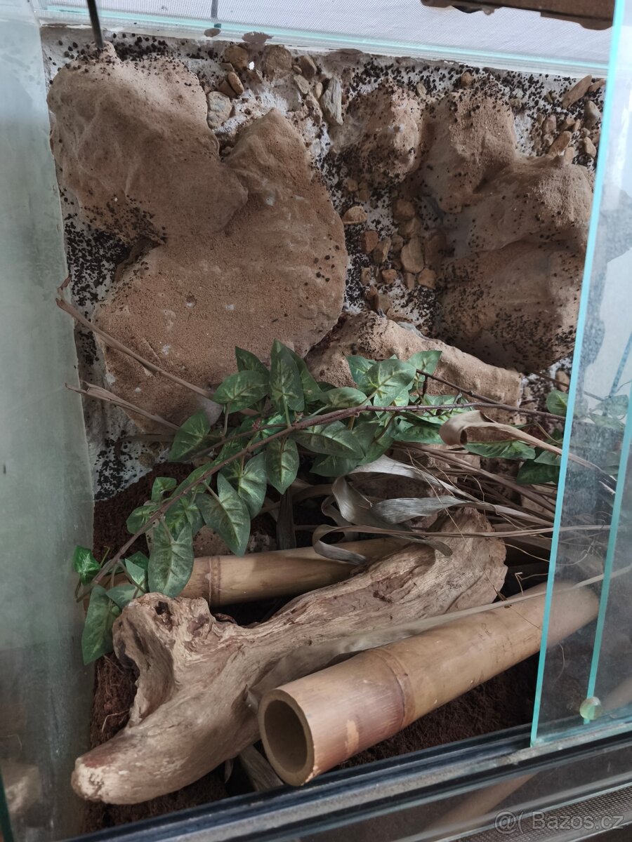 Terarium pro ještěry - 3
