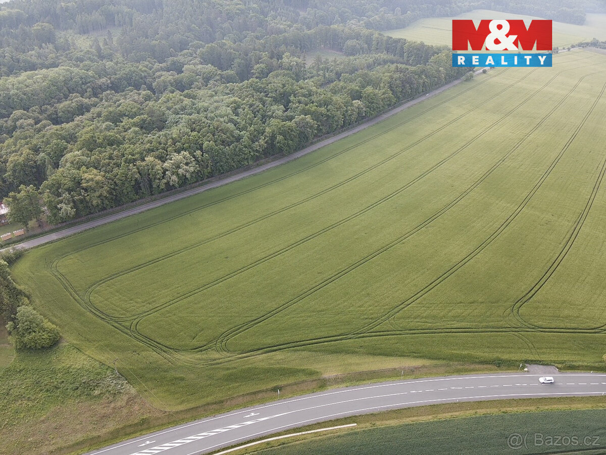 Prodej pole, 10638 m², Opočno - 3