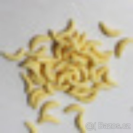 Umělí červi - 3
