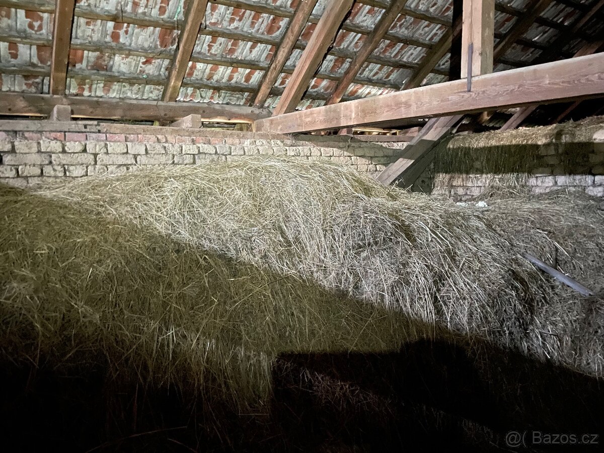 Daruji staré suché seno a slámu za odvoz - 3