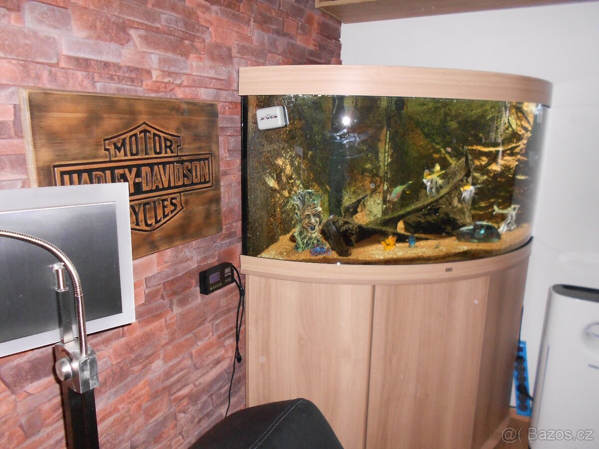 2Juwel akvarium - 3