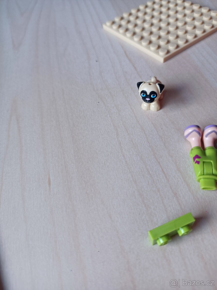 Friends LEGO - 3