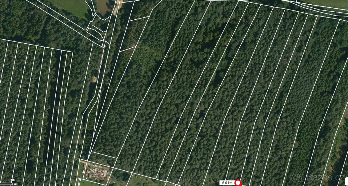 Prodej lesa Dražíč 5161m2 - 3