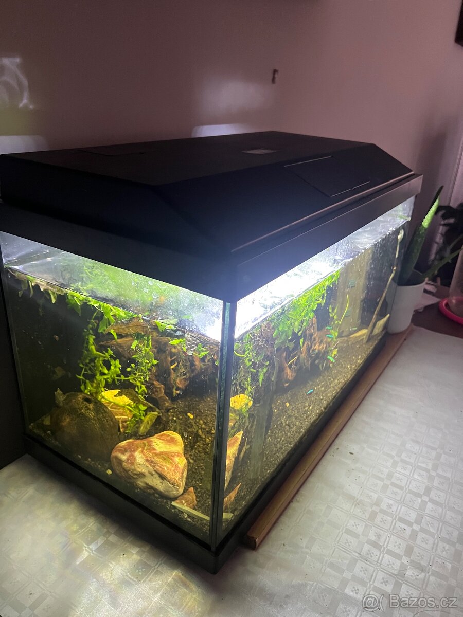 Akvárium INVITAL 60L. S rybičkama a filtrem Oase Bioplus 100 - 3