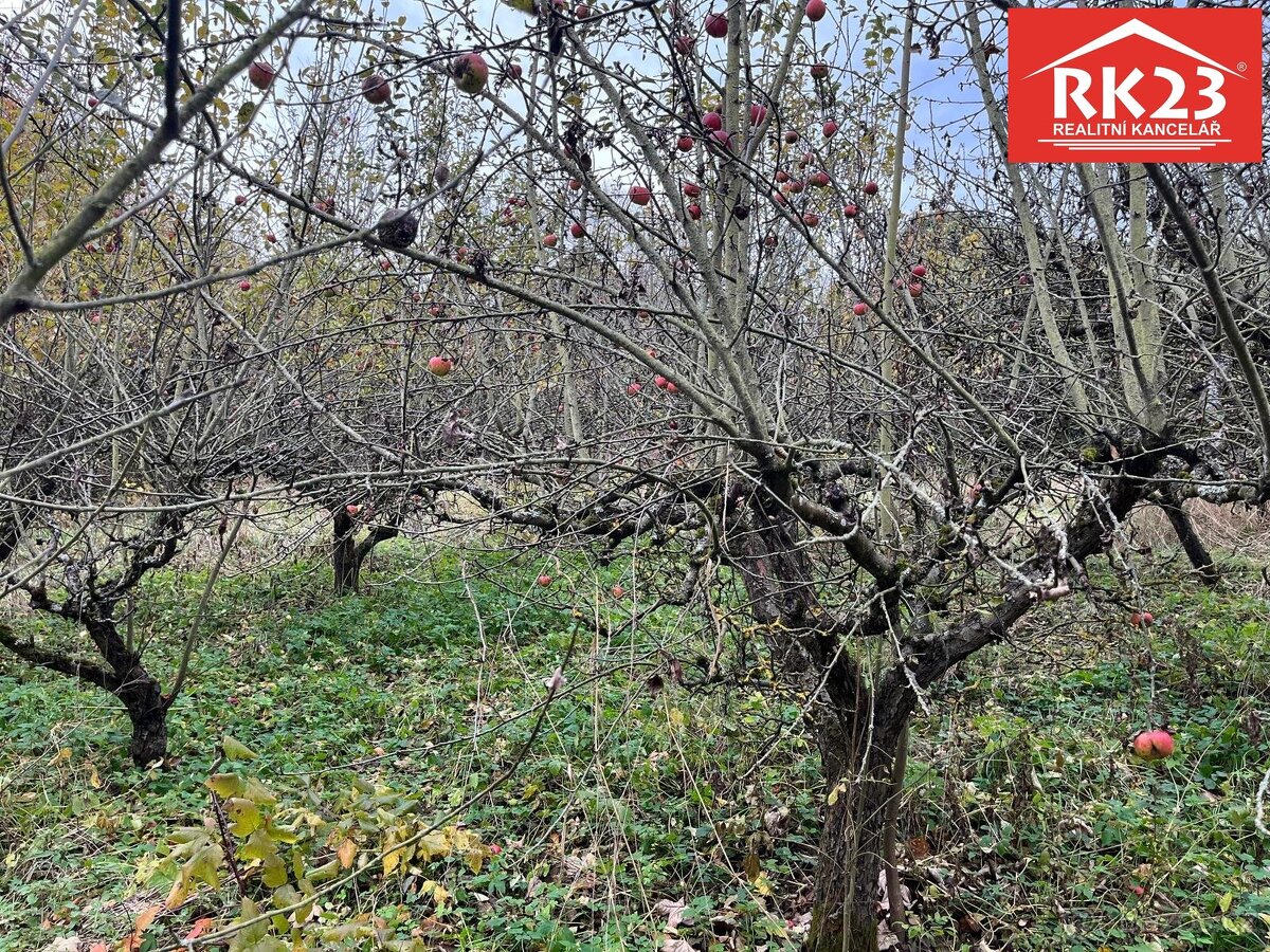 Prodej, Pozemek, Stráž - Olešná, ev.č. 02001 - 3