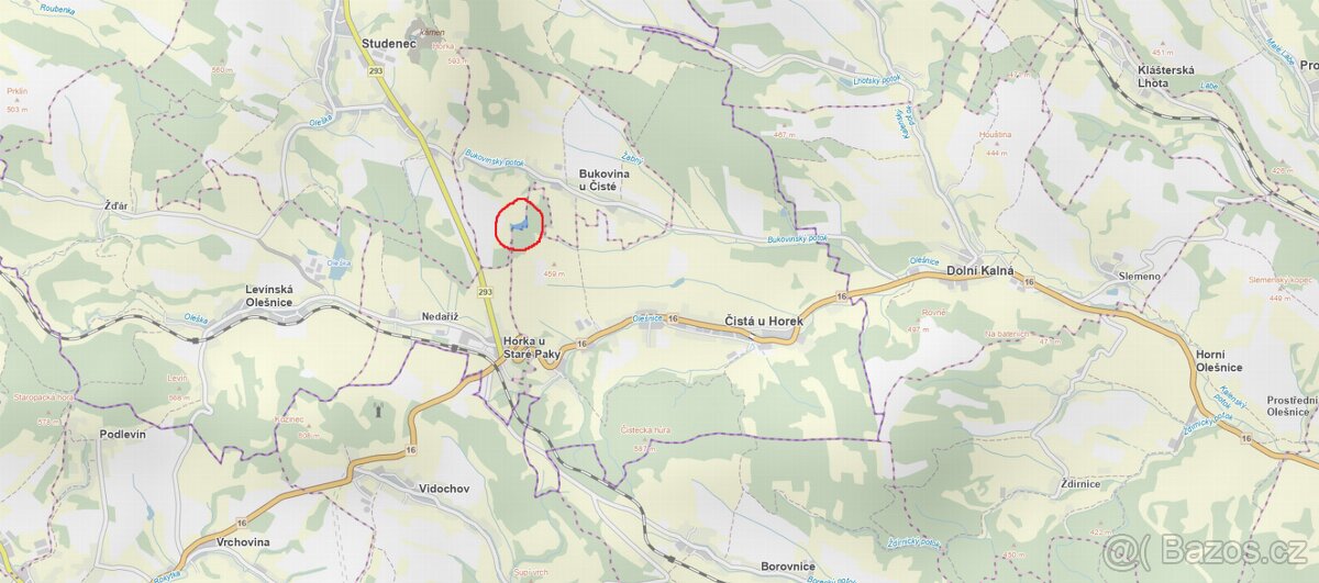 Prodám lesní pozemky v k.ú. Bukovina u Čisté. - 3