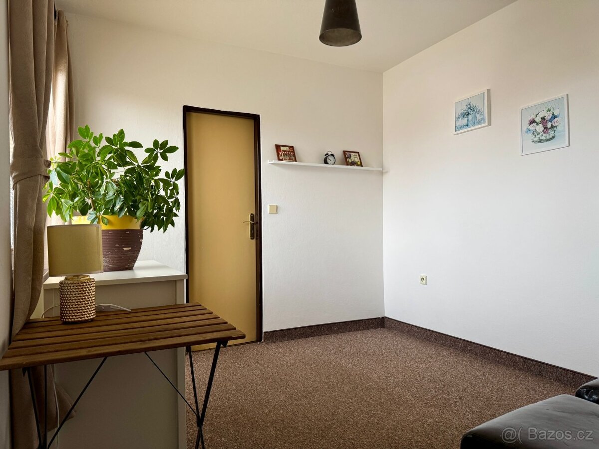 Pronájem pokoje 30 m² - 3