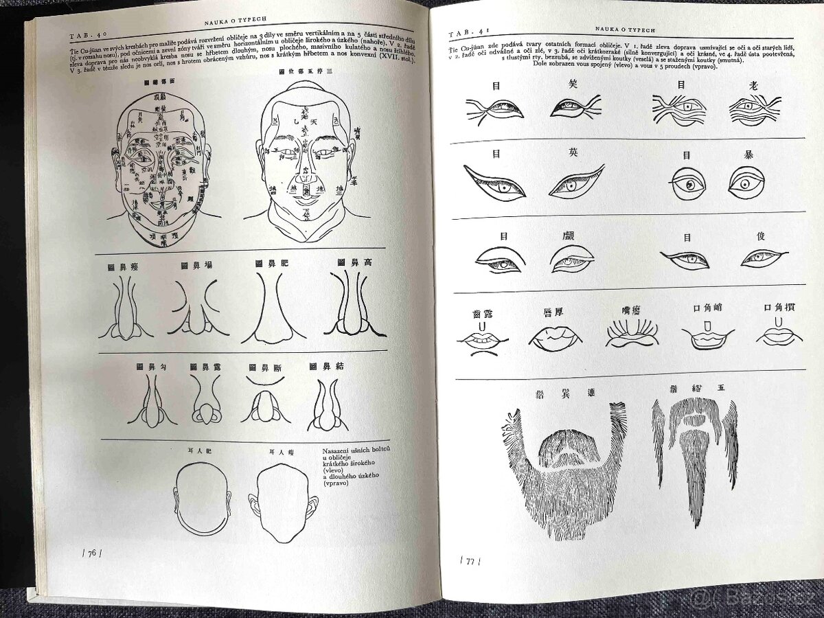 Anatomie pro výtvarníky od Prof.MUDr.Zrzavého - 3