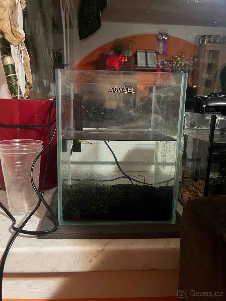 Akvária - 3