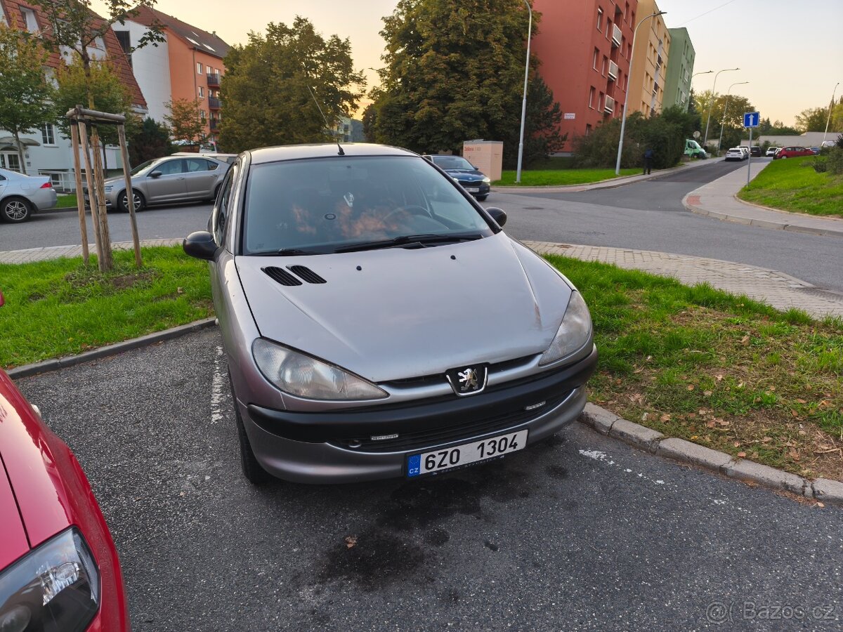 Peugeot 206 - 3