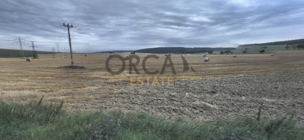 Prodej 0,1 ha pozemku v k.ú. Neslovice - 3