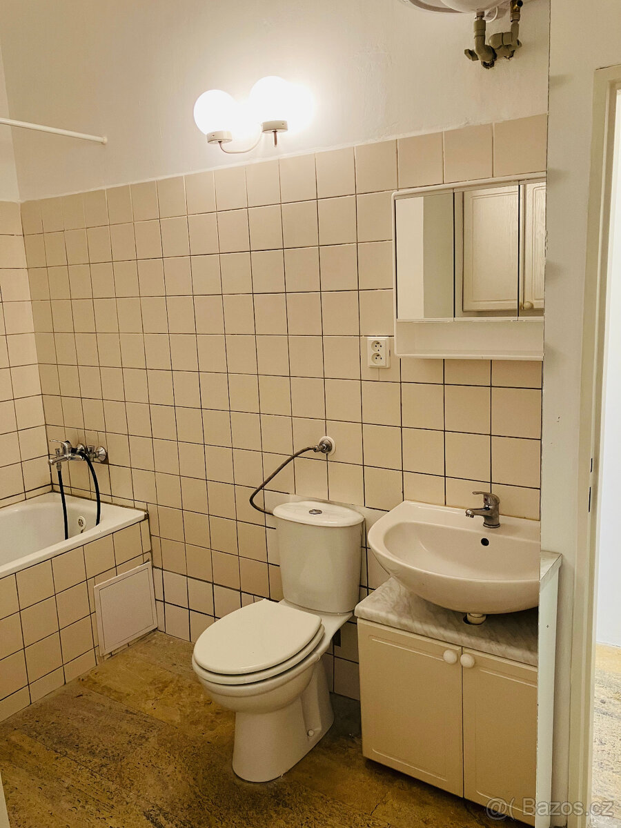 Pronájem garsonky Cheb - 3