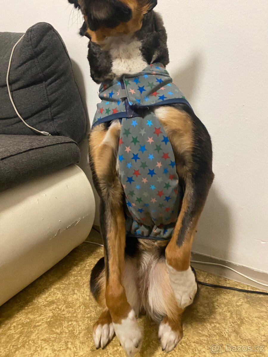 Obleček pro psa - 3