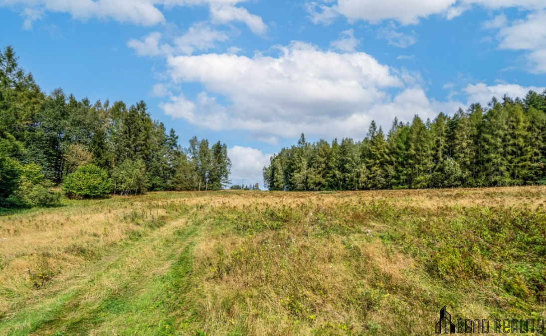 Prodej rozsáhlých luk v Bernov, 44 540 m² - 3