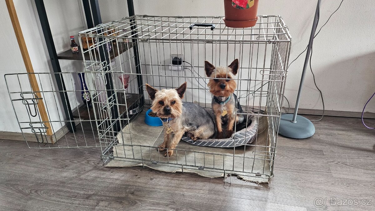 Klec pro psy - 3