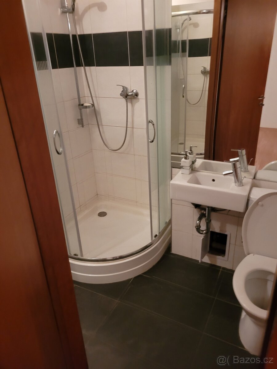 Pronájem nebytového prostoru o velikosti 41m2 - 3