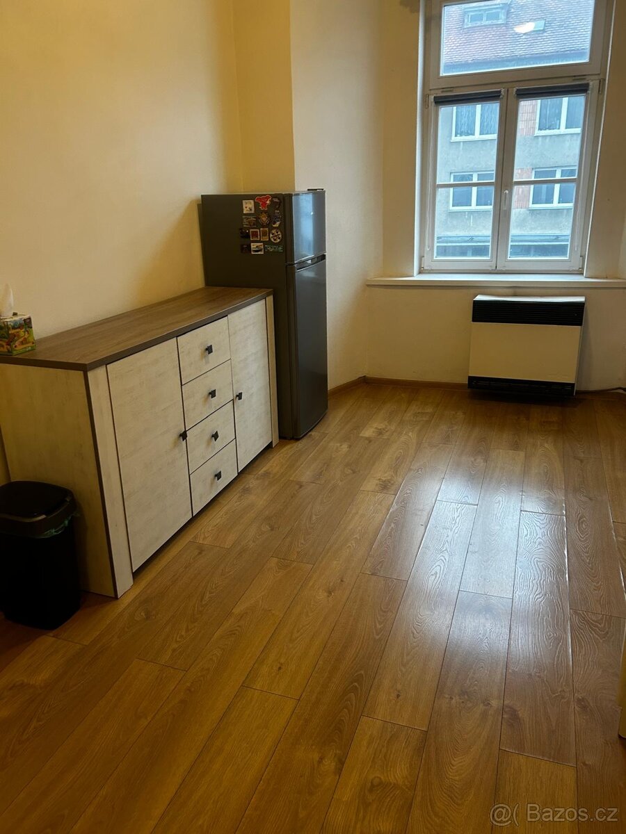 Pronajem bytu 2+1 - 3