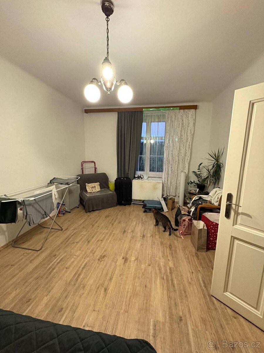 Dobrý den, rád bych pronajal byt 2+KK, 57 m2 - 3