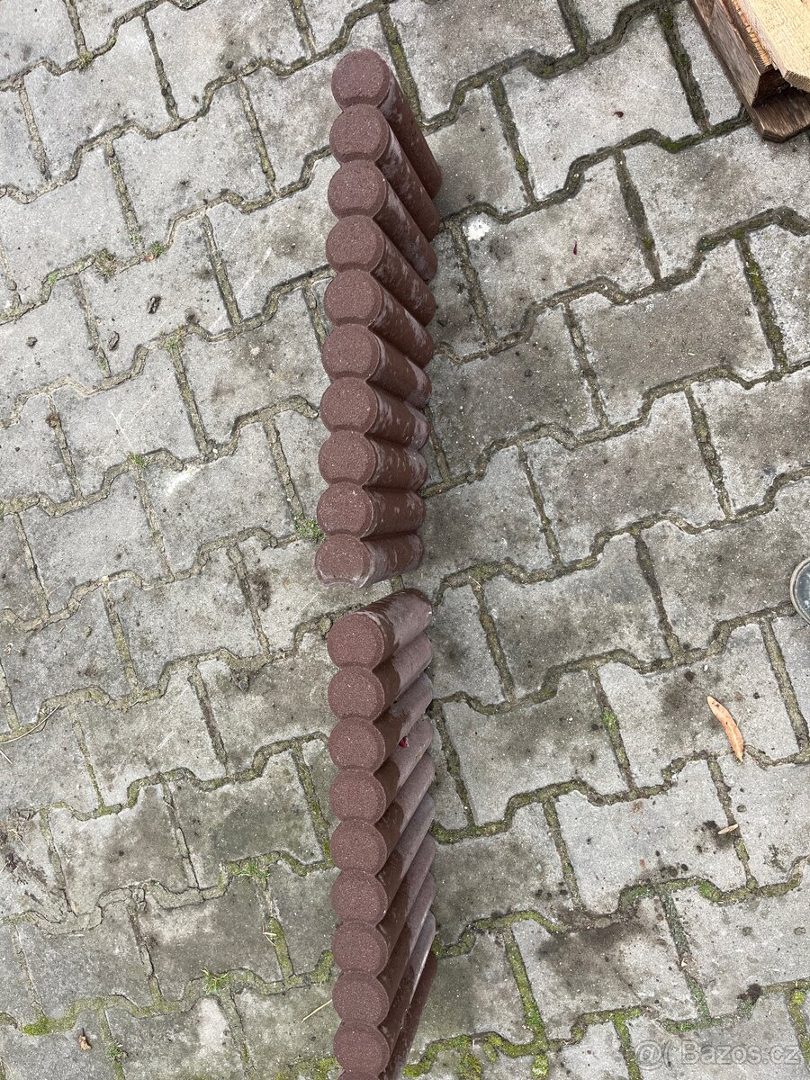 Palisáda hnědá - 3