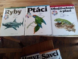 sedačka, tácy do mikro. trouby, knihy, stojany - 3