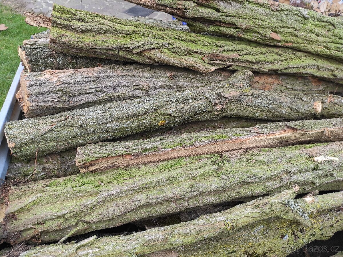 Akátové sloupky - kůly 130 - 170 cm - 3