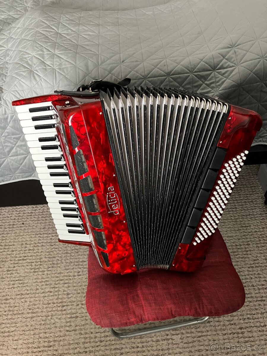Akordeon Delicia Carmen 96 - 3