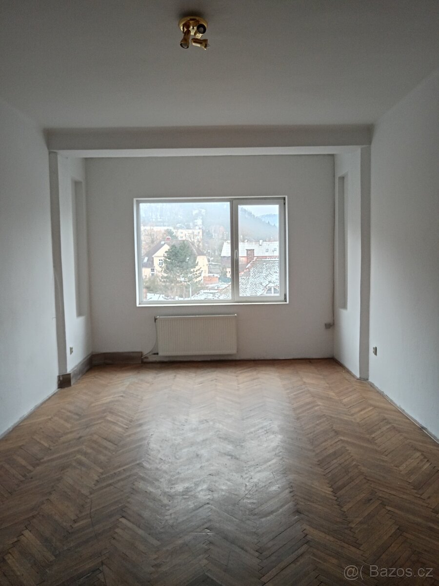 Byt 2+1 Žukovova ulice Střekov - 3