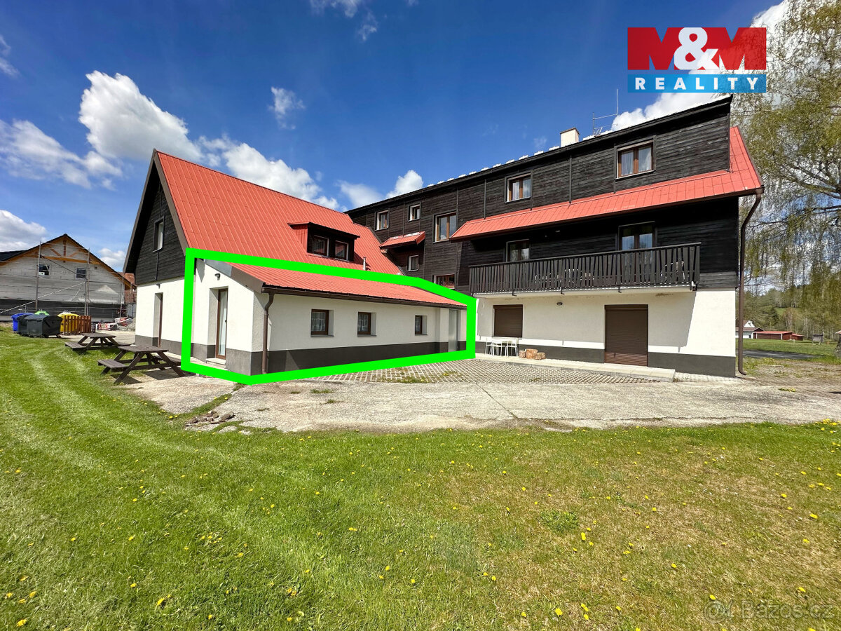 Prodej bytu 1+kk, 43 m², Nová Pec - 3