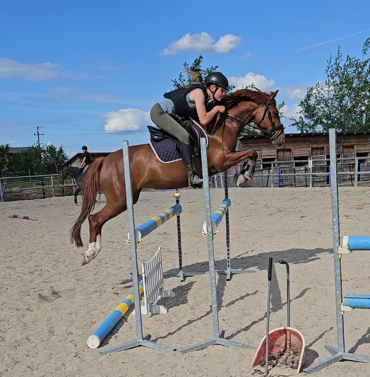 Pony B do sportu - 3