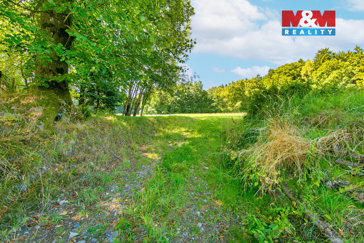 Prodej pozemku k bydlení, 7125 m², Pec - 3