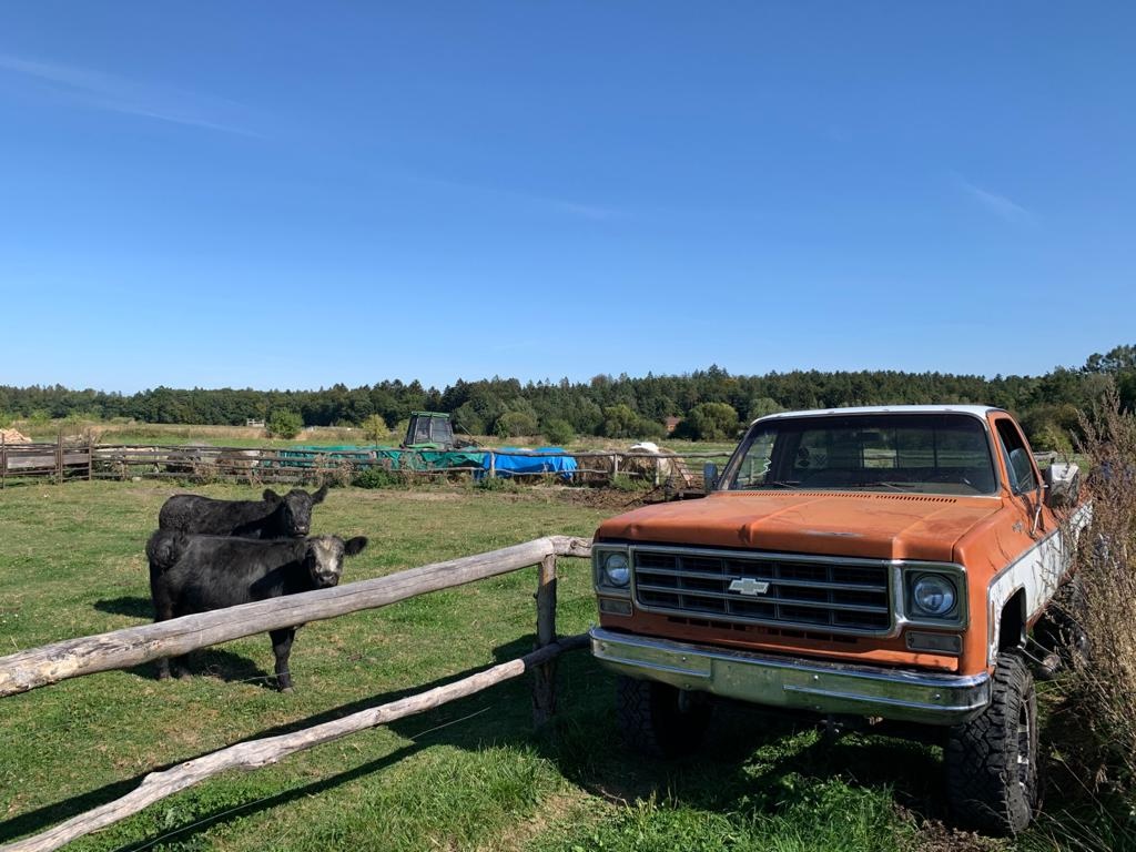 Chevrolet K20 rv 1978 Silverado