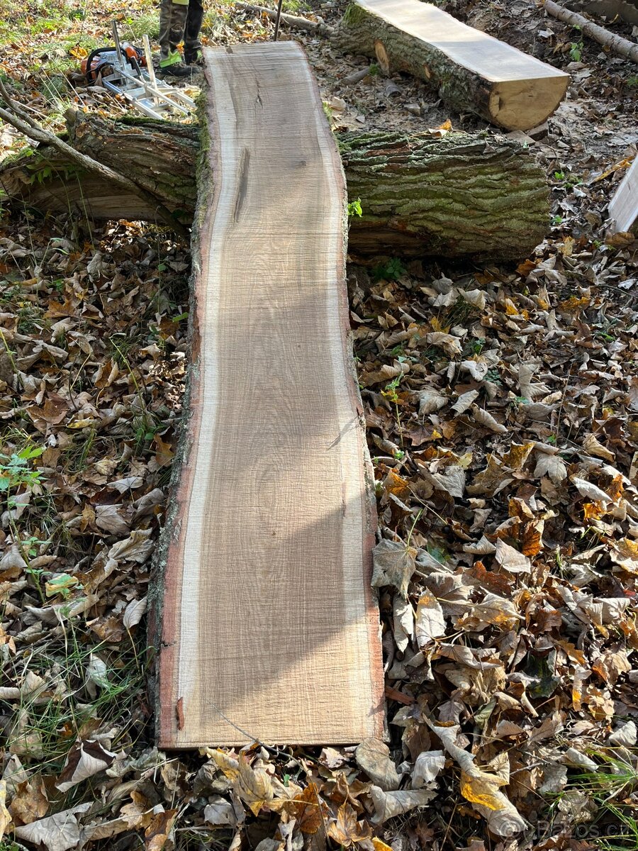 Dubové fošny + koláče - 3