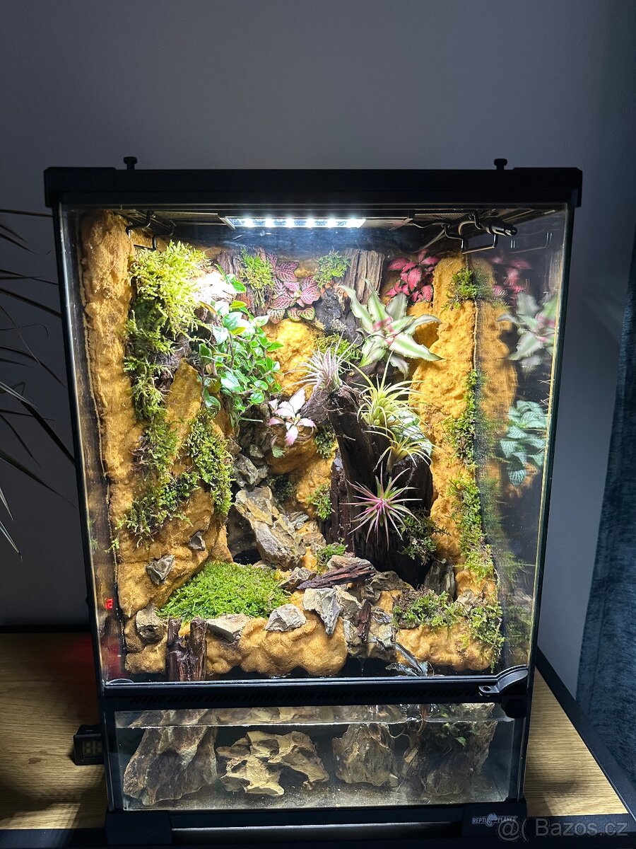Tropické terárium, paludarium Repti- Planet - 3