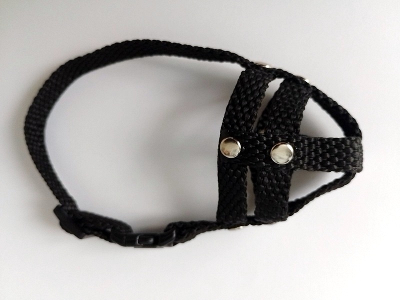 Potřeby pro psa - 3