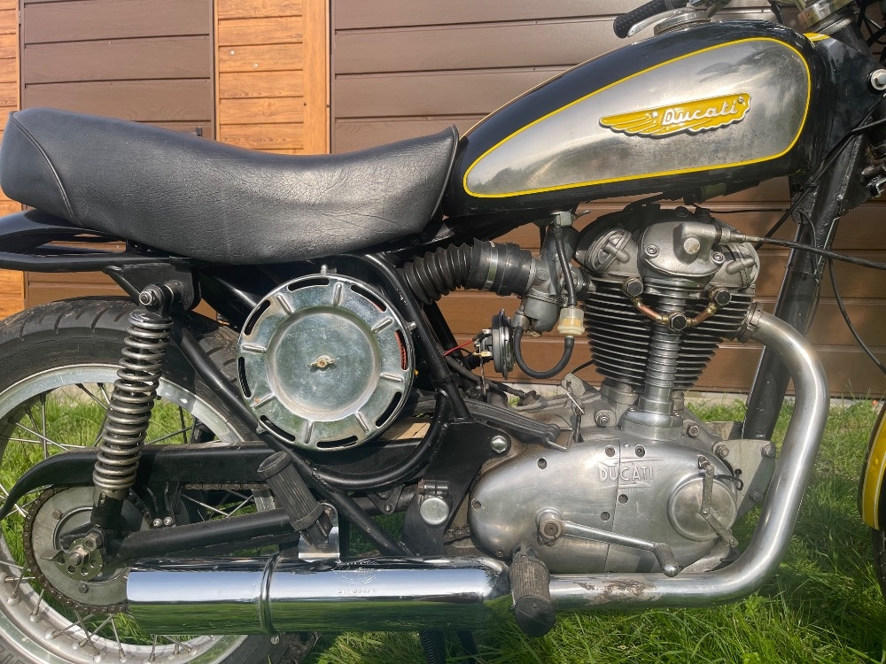 Ducati 350 Scrambler - 3