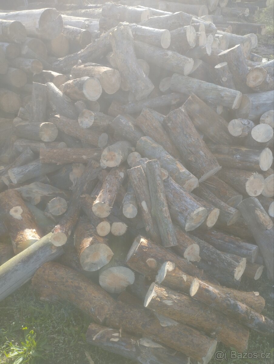 Palivove drevo 45cm delka - 3