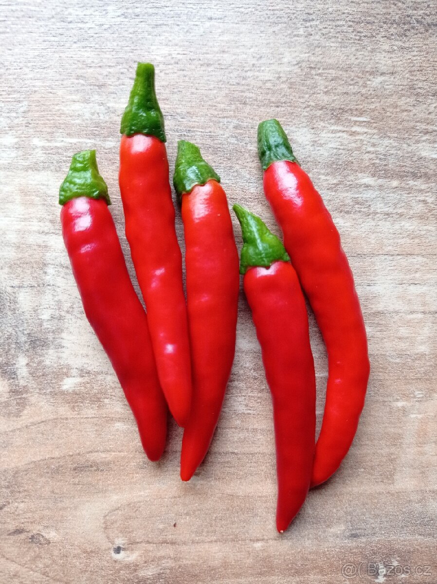 semínka chilli - 3