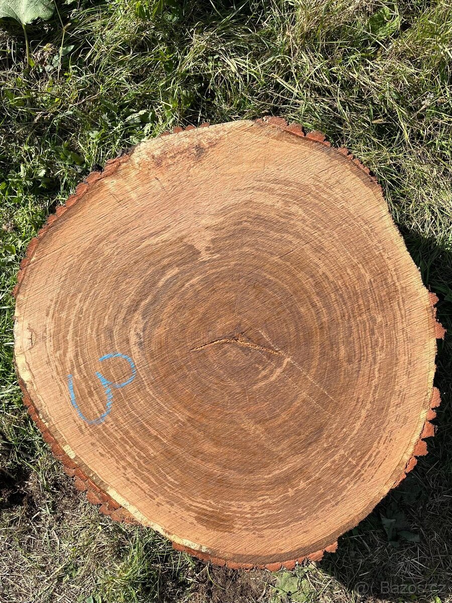 Dubové koláče - 3